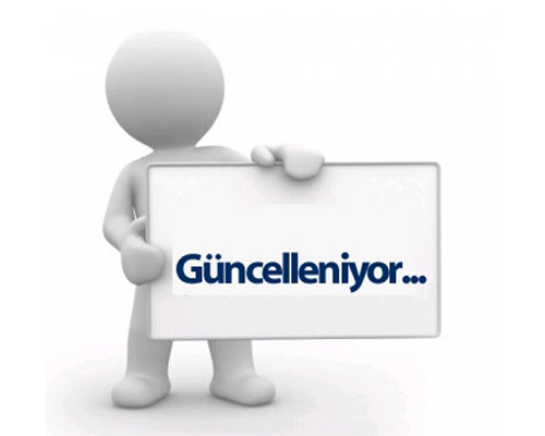 Kaplamalı Kapı - Camlı Kaplamalı Kapı